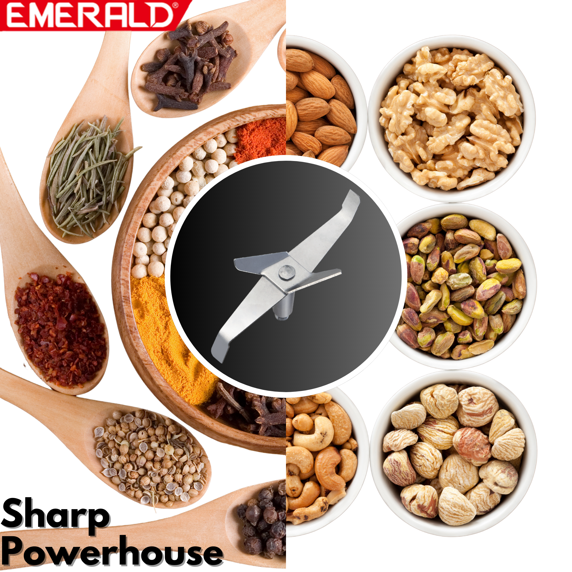 EK794CG Stainless Steel XL Raw Coffee Grinder